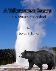 Yellowstone cover