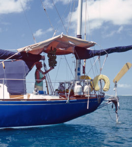 The wind vane's paddle is to the far right